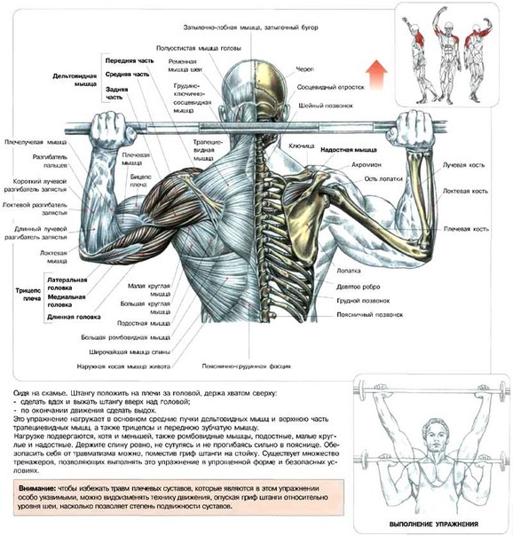 Амплитуда движения